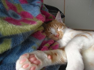 021.jpg