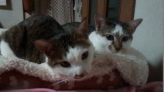 20131121110154ed8.jpg