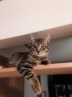 2014112611042555a.jpg