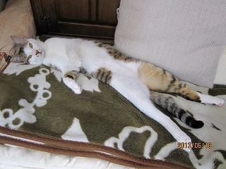 IMG_3762.jpg