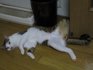 IMG_3952.jpg
