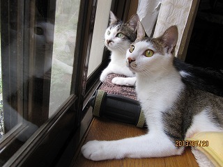 IMG_3987.jpg