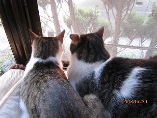 IMG_3995.jpg