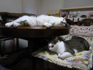 IMG_4069.jpg