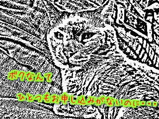 Iz4ktoHVjvNvT7W1442200342_1442201052.jpg